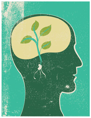 A minimalist illustration of a seed sprouting inside a brain, reflecting the idea that clarity and conscious living begin with small, intentional shifts.